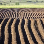 Una corretta gestione dei campi potrebbe diminuire i cambiamenti climatici.