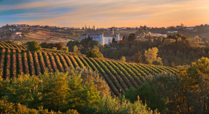 Una vetrina per il settore vitivinicolo italiano