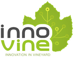 Il progetto InnoVine intende ottimizzare i vigneti dal punto di vista genetico e logistico.