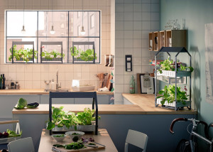 Ikea è pronta a lanciare sul mercato una nuova serie di prodotti per la coltivazione idroponica.